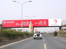 新天杰成自泸高速跨线桥广告